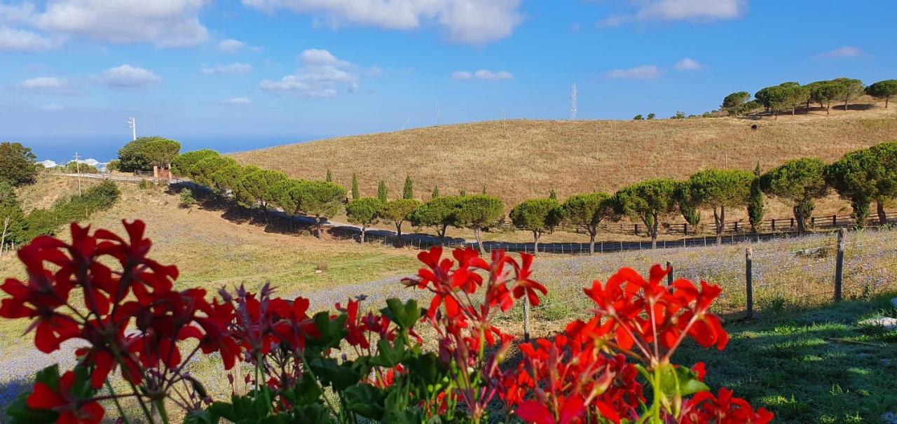 Hotel Tenuta Dell'Argento Resort Civitavecchia Luaran gambar